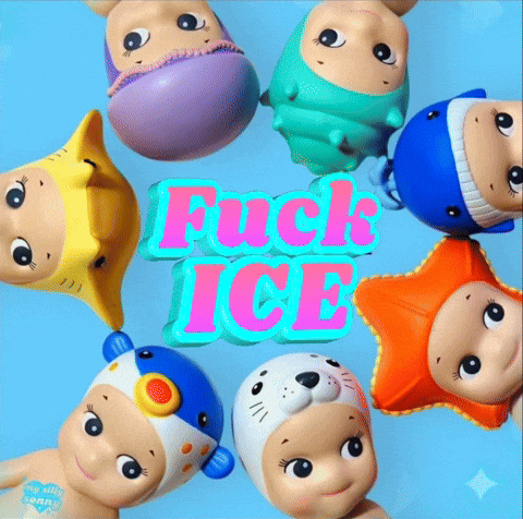 Ice No One Is Illegal GIF