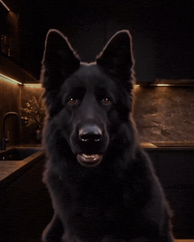 Dog GIF