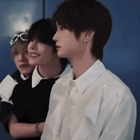 Kitten Cutie GIF