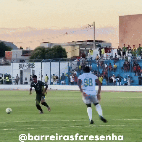 Bfc GIF