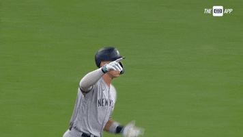 Celebrate Home Run GIF by YES Network