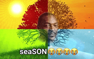 Sun Season GIF