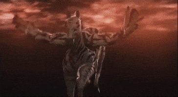 Takashi Miike GIF