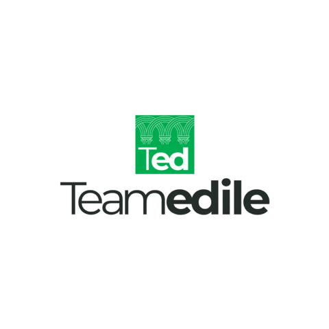 team edile Sticker