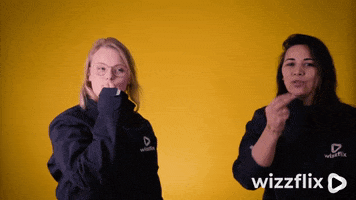 Wizzflix GIF