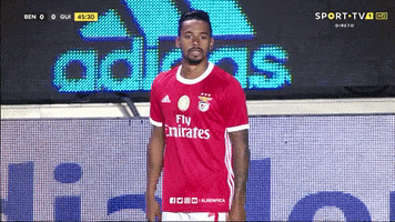 Sl Benfica Slbgifs GIF by Sport Lisboa e Benfica