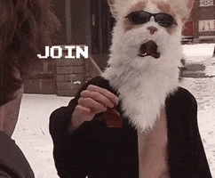 Urethane GIF by joycult