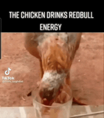redbull gives you wings