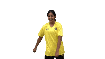 Badminton Chennai Sticker by PBLIndia