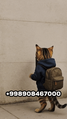 Golden Fish Cafe GIF