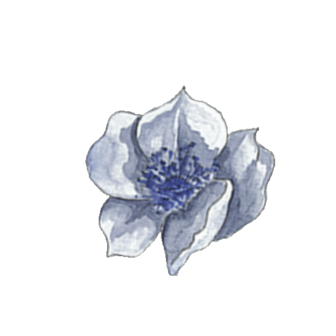 Blue Roses Flower Sticker by Runaway June