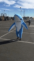 Shark Costume GIF