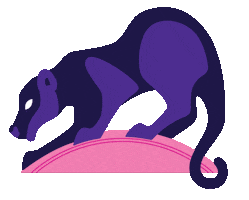 Big Cat Jaguar Sticker by Erstwilder