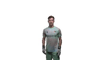 Robin Nec Sticker by necnijmegen