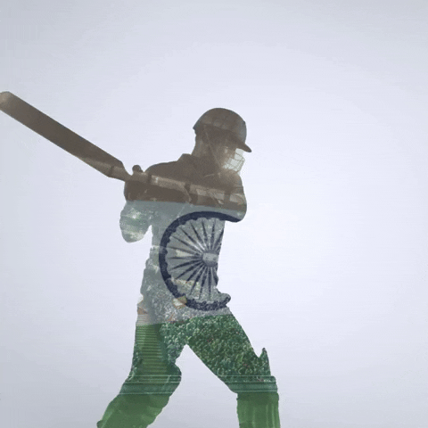 India Cricket GIF by RightNow