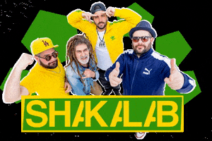 Reggae Dancehall GIF by shakalab