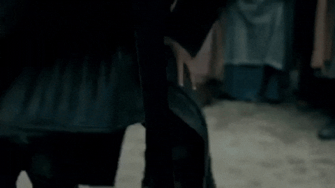 GIF by Canal TNT - Find & Share on GIPHY