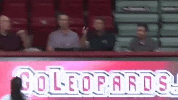 Volleyball Wow GIF by Lafayette Leopards