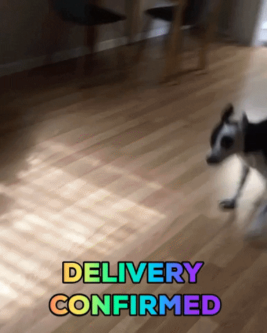 Delivery GIF by LisaColucci