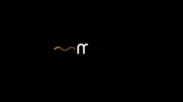 GIF by Alinhadores Moov