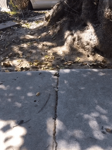 Cinemagraph GIF by Justin