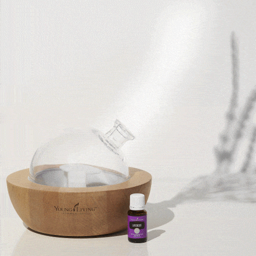 Lavender Essential Oil GIFs Get the best GIF on GIPHY