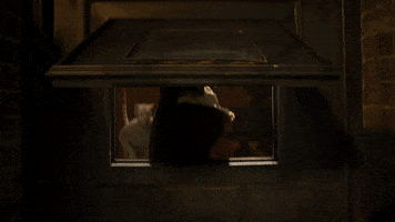 James Corden Hello GIF by Cats Movie
