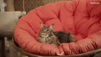 200.gif