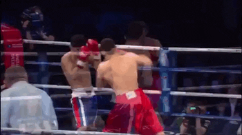Fight Boxing GIF by RCC Sport