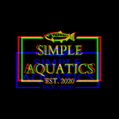 SimpleAquatics fish pet simple aquarium GIF