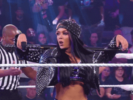 Wwe Rock GIF