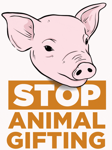 Go Vegan Climate Crisis GIF by _AnimalSaveMovement_