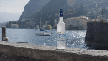 Vacation Serve GIF by GREY GOOSE® Vodka