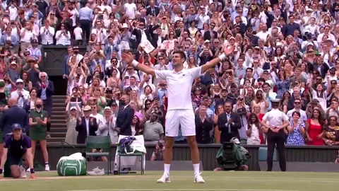 Novak Djokovic Win GIF