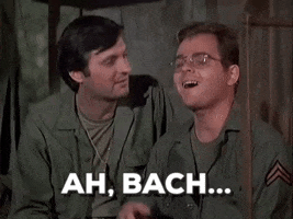 patty  GIF