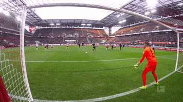 Save Timo Horn GIF by 1. FC Köln
