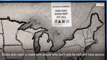 Access Voting GIF by ACLU