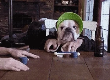 Dog Poker GIF