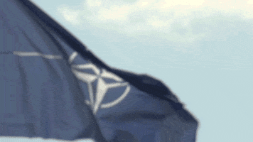 NATO nato otan wearenato GIF