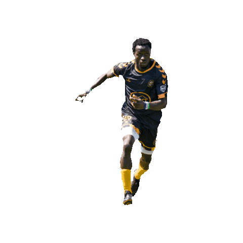 NISA Soccer Sticker