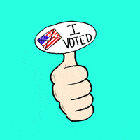 Election Day Thumbs Up GIF by INTO ACTION