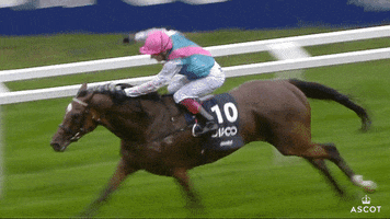 Enable Horse Racing GIF by Ascot Racecourse