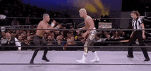 Cody Rhodes Wrestling Match GIF by All Elite Wrestling on TNT