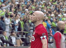 Toronto Fc Love GIF by Major League Soccer