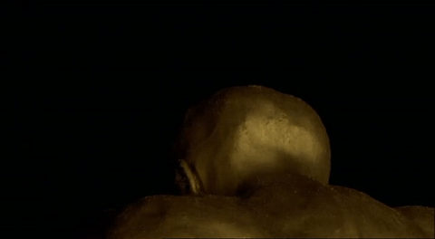 kim noce animated GIF