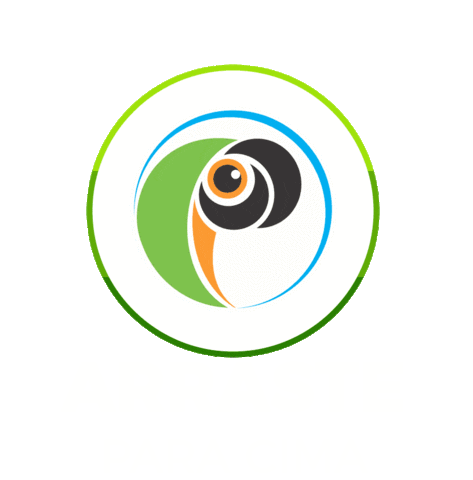 Turismo Aracaju Sticker by Papagaios Tour