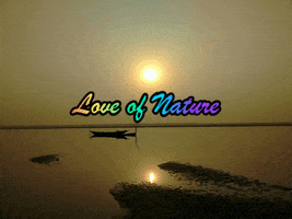 Nature GIF