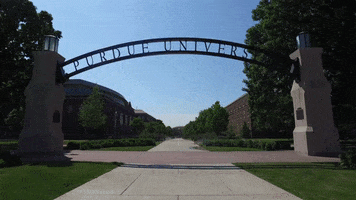 Black And Gold Boilermakers GIF by Purdue University