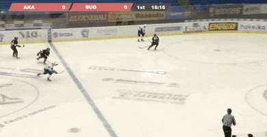 Univerzitní hokej GIF