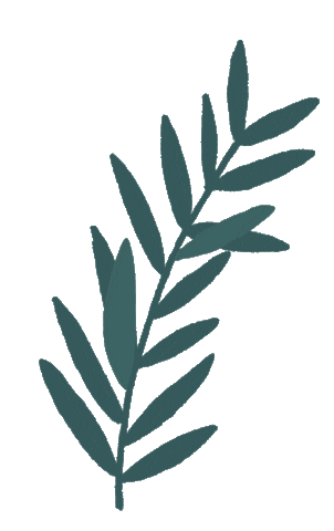 Calgary Folk Music Festival Sticker